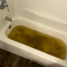 Hoover Alabama Drain Cleaning Specialists